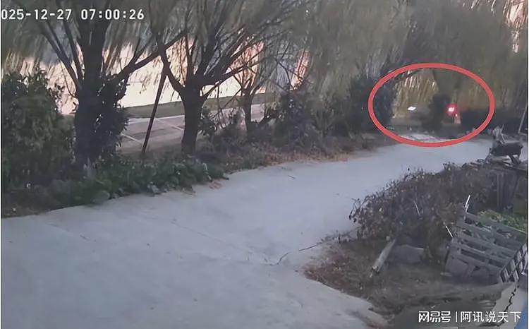 湖北26岁女司机坠河身亡，两次活命机会全没抓住，监控画面曝光（组图） - 7
