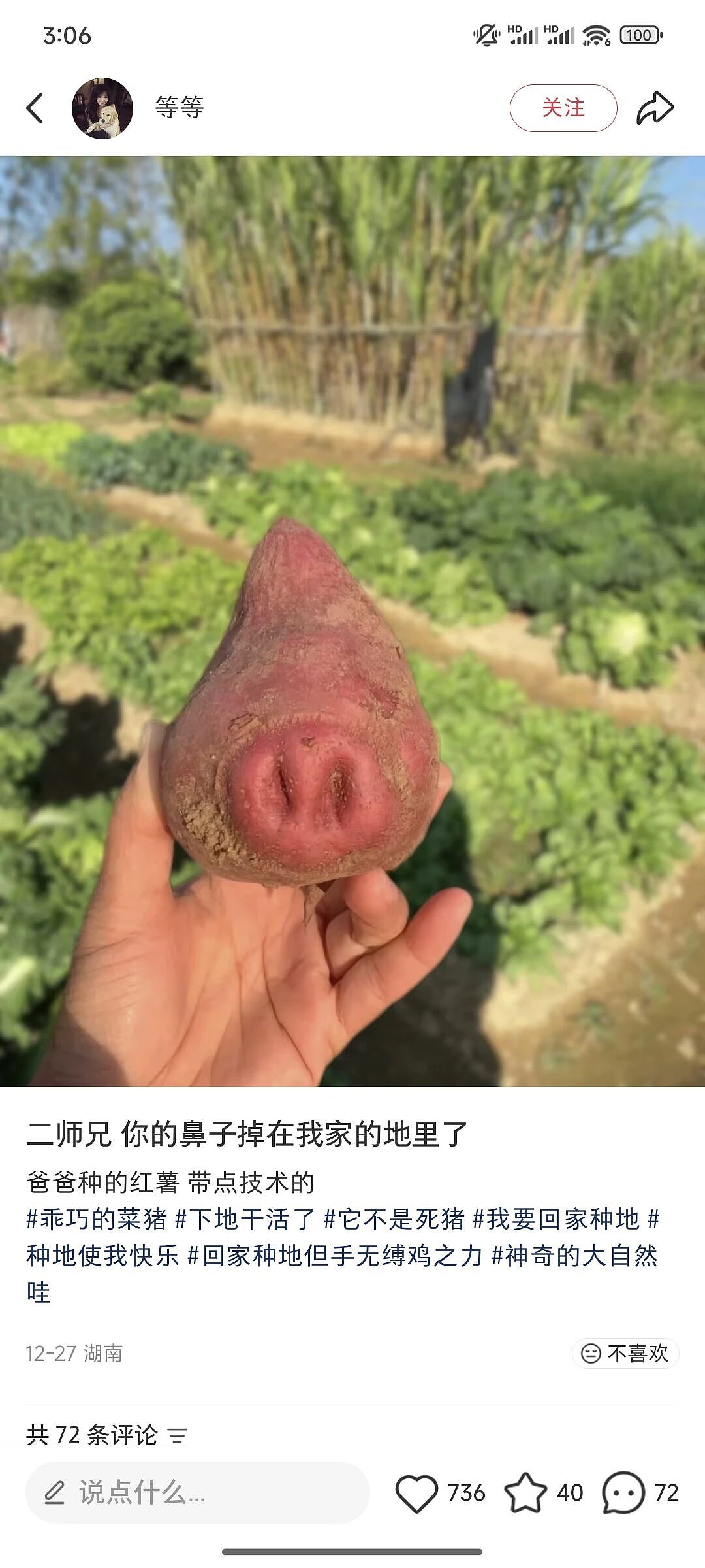 【爆笑】“App年度报告能多离谱?”哈哈哈哈哈哈看看都阴成啥样了(组图) - 52