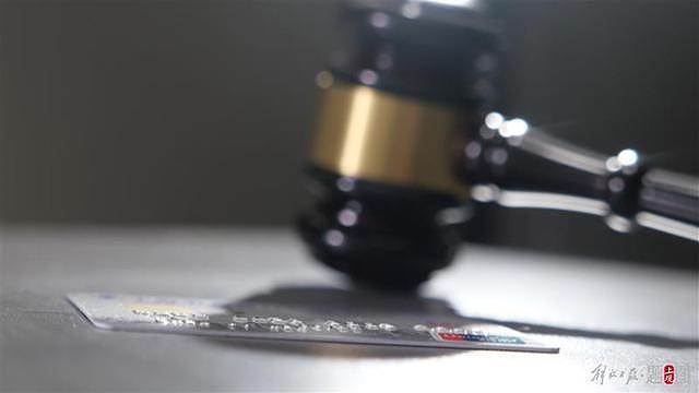 上海一出纳13年掏空公司3500万，花超百万养流浪猫（组图） - 1