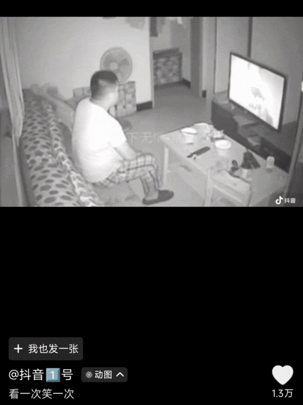 【爆笑】“2025年度沙雕动图大放送！”哈哈哈哈哈哈哈第一张就笑抽了（组图） - 6