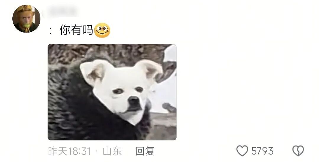 【爆笑】“App年度报告能多离谱?”哈哈哈哈哈哈看看都阴成啥样了(组图) - 48