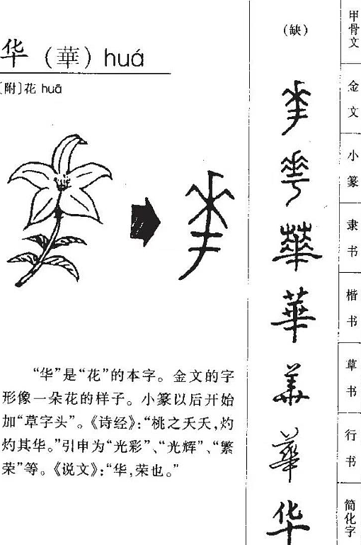 北京卫视春晚宣传被质疑是马踏华夏！ 中网痛斥满清遗毒（组图） - 2