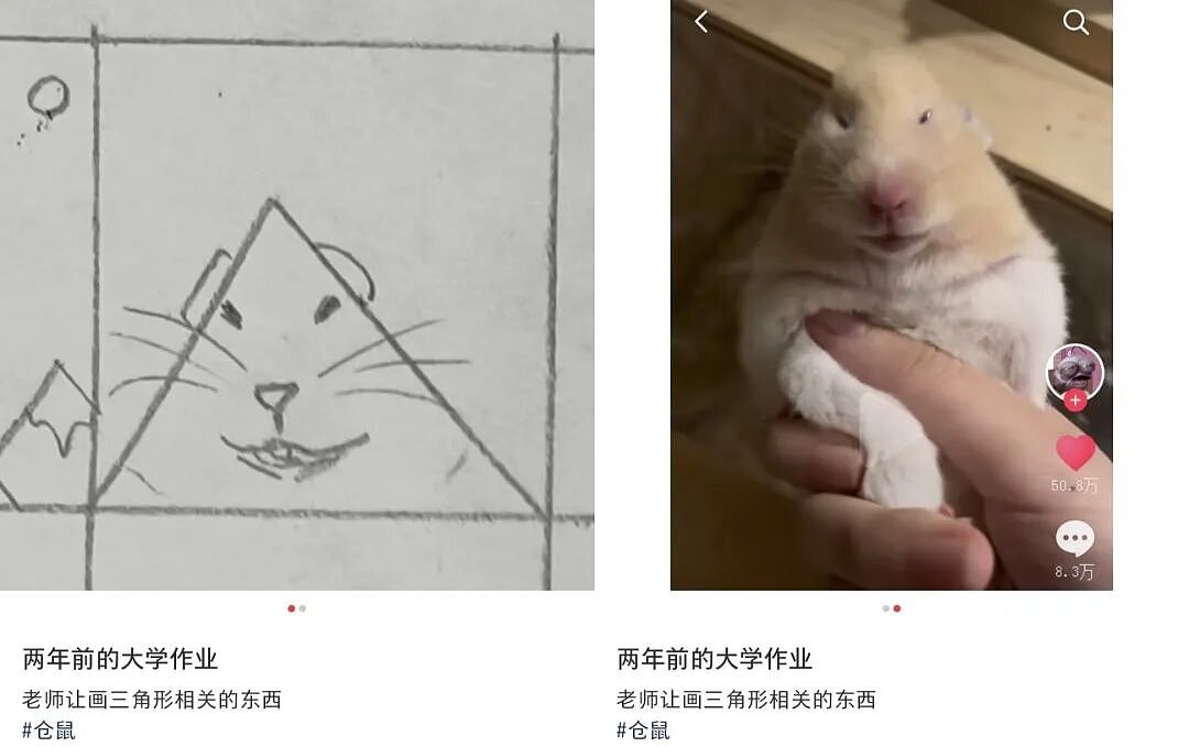 【爆笑】“App年度报告能多离谱?”哈哈哈哈哈哈看看都阴成啥样了(组图) - 18