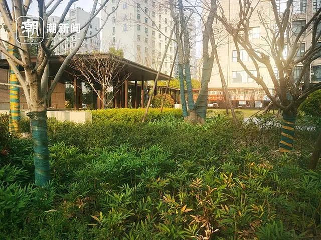 杭州一业主群来了位豪气的邻居!砸1600万,完成小区外立面升级,无须业主出钱,改造后成面向高管的长租房(组图) - 8