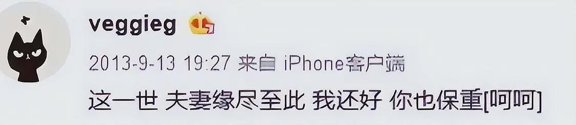 这次杨澜的爆料，没给王菲留一丝体面，难怪谢霆锋拒绝和她结婚（组图） - 20