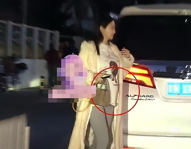 曝陈冰挺孕肚和男友人约会!两人有说有笑,狗仔喊话陈牧驰别吃醋(组图) - 1