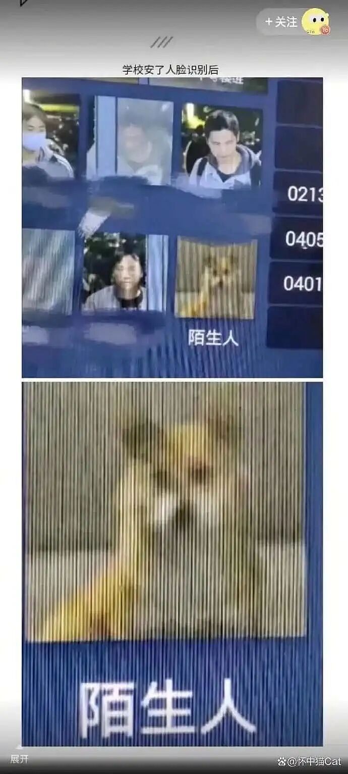 年度AI沙雕新闻，第一个我就绷不住了（组图） - 20
