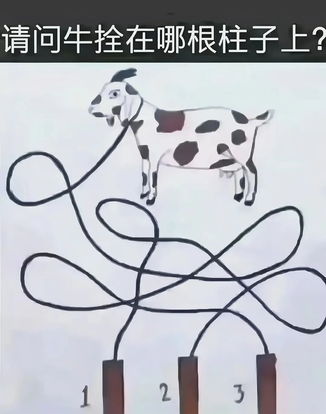 【爆笑】“2025年度沙雕动图大放送！”哈哈哈哈哈哈哈第一张就笑抽了（组图） - 19