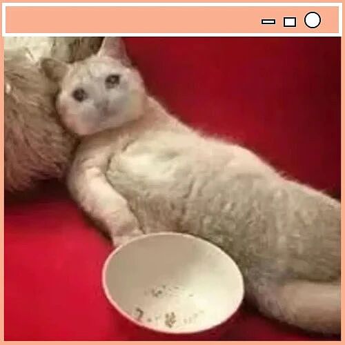 【爆笑】“对父母做过印象最深的事是什么?”啊啊啊这就是爱的意义!(组图) - 11