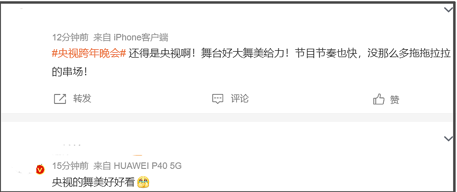 六大跨年晚会收视比拼！央视第一，倪萍和赵本山儿子破湖南台纪录（组图） - 4