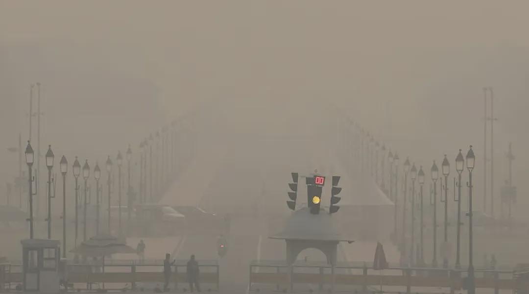 印度大厂总裁受不了德里空气污染连夜辞职跑路:这地方空气真不是人吸的…(组图) - 14