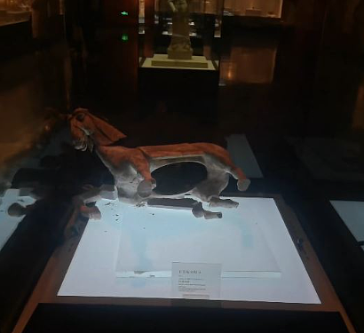 洛阳博物馆唐代陶马“发软蹄”？展示柜内跌倒两足碎裂（组图） - 3