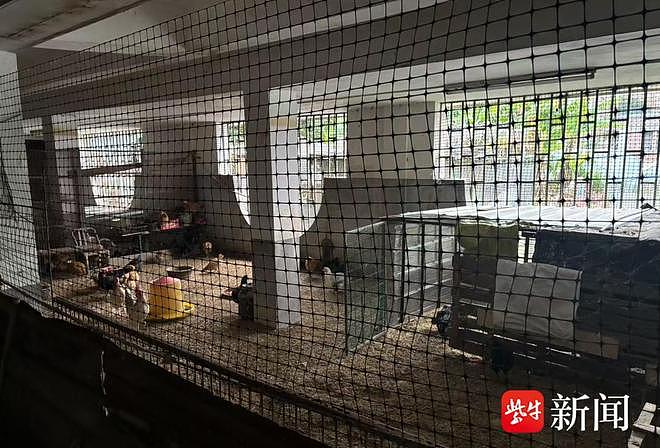 花500万元建的别墅被邻居侵占养鸡鸭,邻居表示可以交租金,警方介入处理(组图) - 4