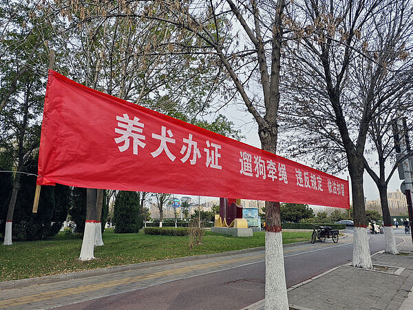 中国最严养犬规定上路,脑洞大开推“行狗记录器”(图) - 1