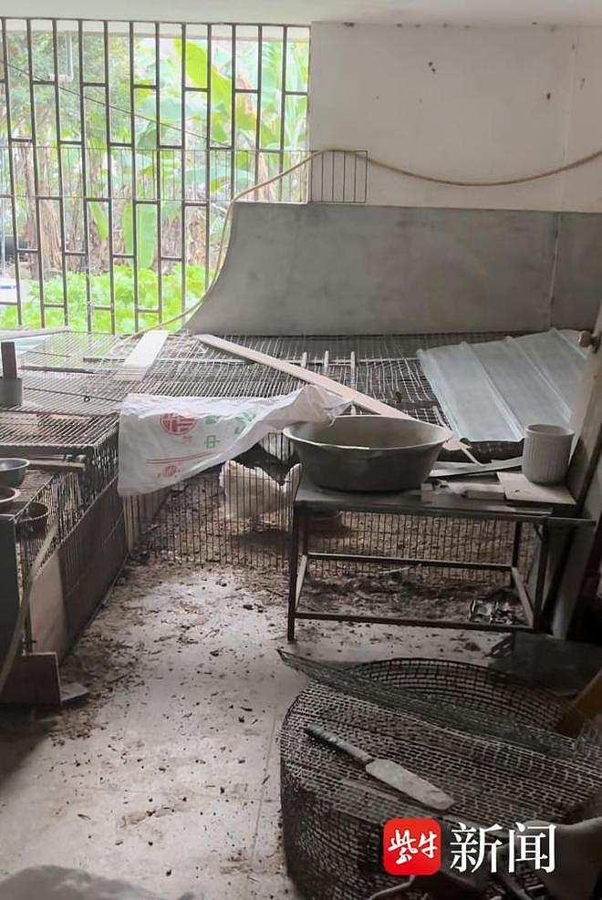 花500万元建的别墅被邻居侵占养鸡鸭,邻居表示可以交租金,警方介入处理(组图) - 5