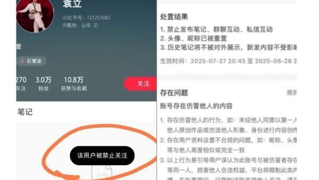 大陆知名女演员袁立不明不白被封号终于起诉新浪微博(图) - 1