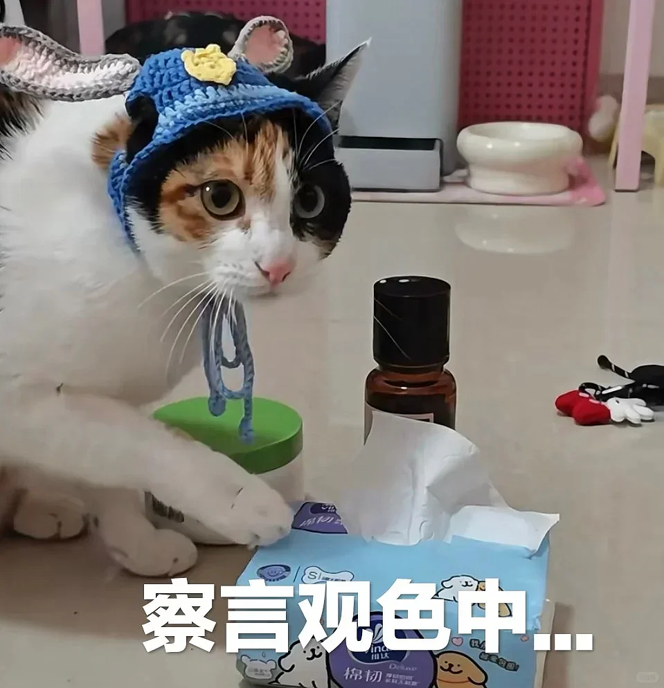 【爆笑】全网爆火的“真棒猫”有多魔性？哈哈哈哈哈哈网友的脑洞简直逆天！（组图） - 2