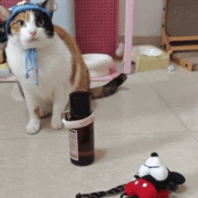 【爆笑】全网爆火的“真棒猫”有多魔性？哈哈哈哈哈哈网友的脑洞简直逆天！（组图） - 3