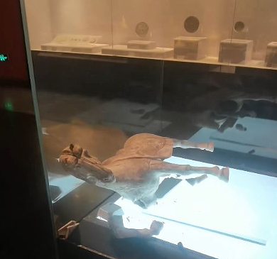 洛阳博物馆唐代陶马“发软蹄”？展示柜内跌倒两足碎裂（组图） - 1