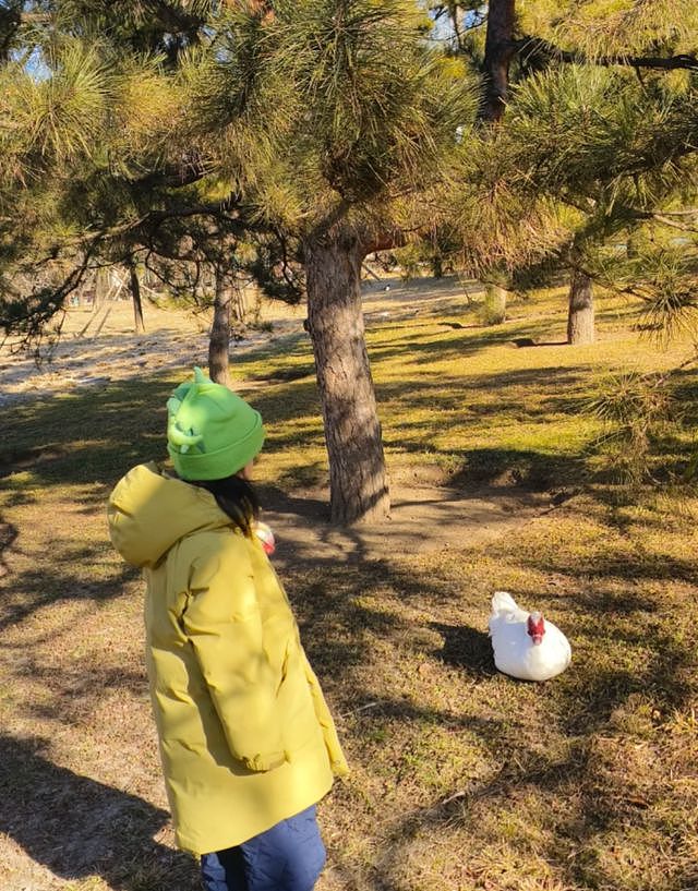 齐溪骄傲晒闺女，大女儿露脸像王传君，身高惊人，不到5岁有130（组图） - 3