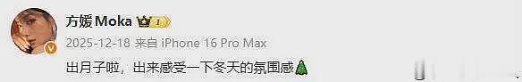 郭富城三胎千金露面,方媛抱娃姿势专业,一个细节暴露其家庭地位(组图) - 6