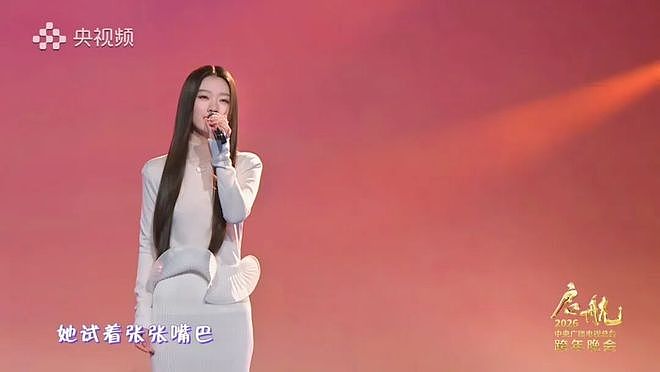2026跨年晚会复盘:流量、情怀、圈层,谁才是真顶流?(组图) - 3
