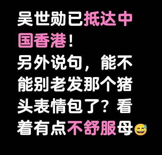 知名主播公开向韩国明星道歉:我是猪头,长得不像你(组图) - 4