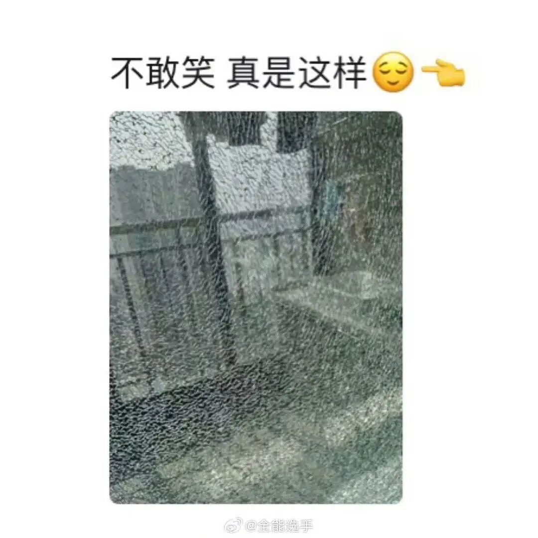 【爆笑】“再让我看到你接我女儿就撞烂你的车…？”哈哈哈老丈人超绝执行力这一块（组图） - 89