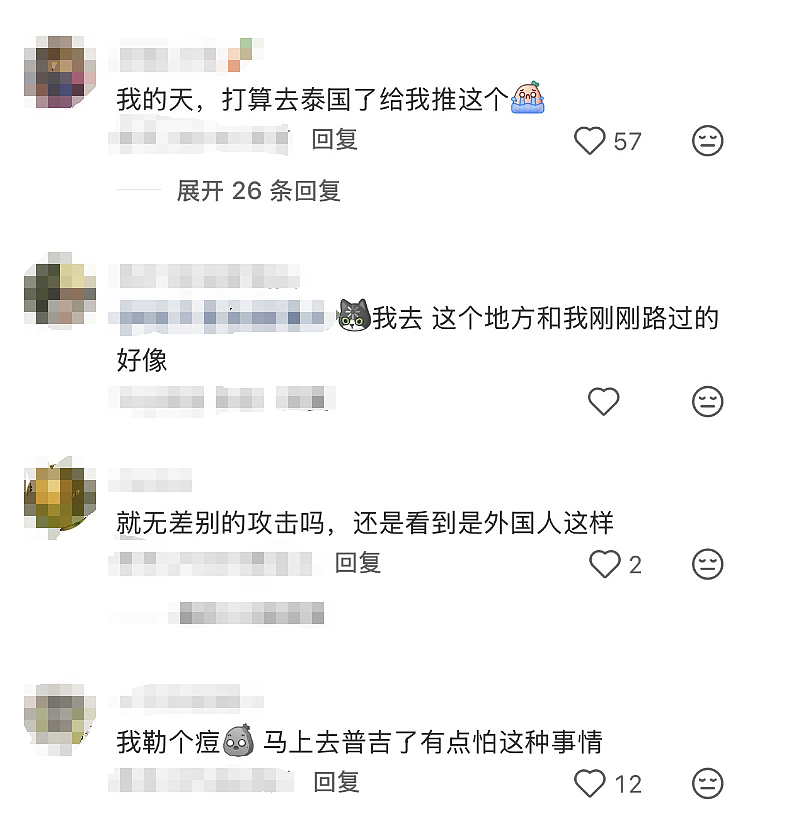 中国女游客在泰国当街被捅,原因至今成谜(视频/组图) - 8