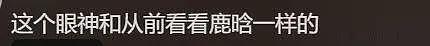 鹿晗被曝床照后续:业内曾暗示他和关晓彤有孩子,难怪女方狠心分手(组图) - 13