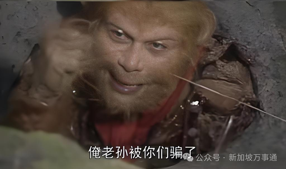 东南亚惊现专坑中国人的 “恋爱杀猪盘”:5天谈对象,7天骗光积蓄…(组图) - 3
