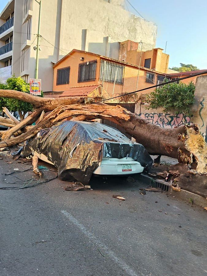 墨西哥南部6.5级地震,首都1死12伤,总统记者会一度中断(视频/组图) - 4