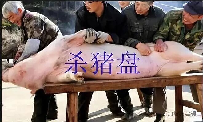 东南亚惊现专坑中国人的 “恋爱杀猪盘”:5天谈对象,7天骗光积蓄…(组图) - 19