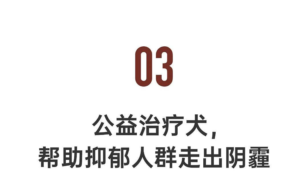 “发疯”的年轻人，带火这个千亿级的市场（组图） - 20