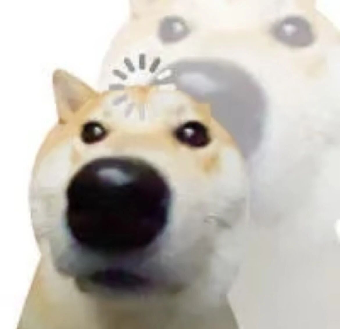 【爆笑】“当爸妈朋友圈里全是我黑照时…？”哈哈哈那不是来时路那就是黑历史（组图） - 3