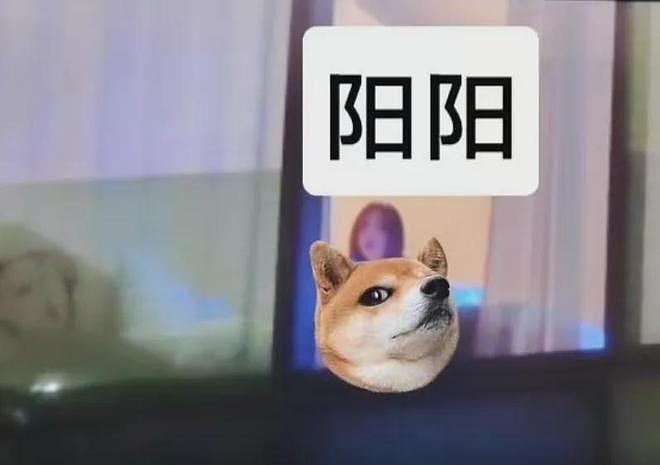 关晓彤太惨了!鹿晗演唱会期间和司晓迪同城,对方还演短剧挑衅(组图) - 35