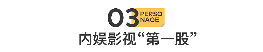 欠债22亿，内娱巨头没招了（组图） - 19