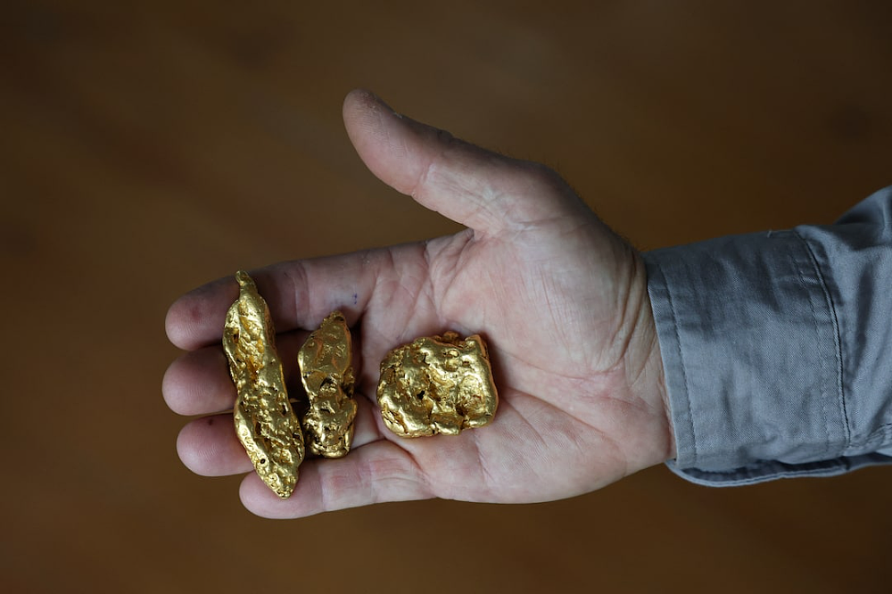 金价飙升,维州又现淘金热!探测器几周内售罄!但有人淘金不是为了钱(组图) - 3