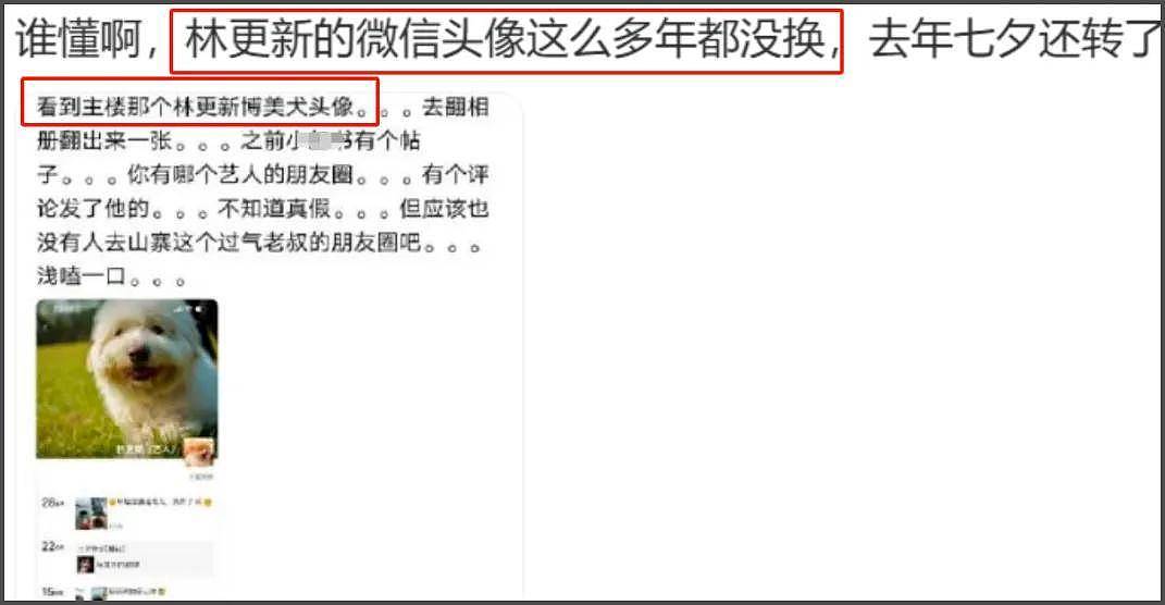 司晓迪事件最全瓜！檀健次私下是舔狗...（组图） - 11