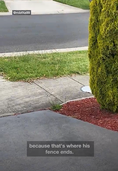 这很不澳洲!维州男子吐槽邻居割门前的草故意剩一米!网友:我也这么干(组图) - 2