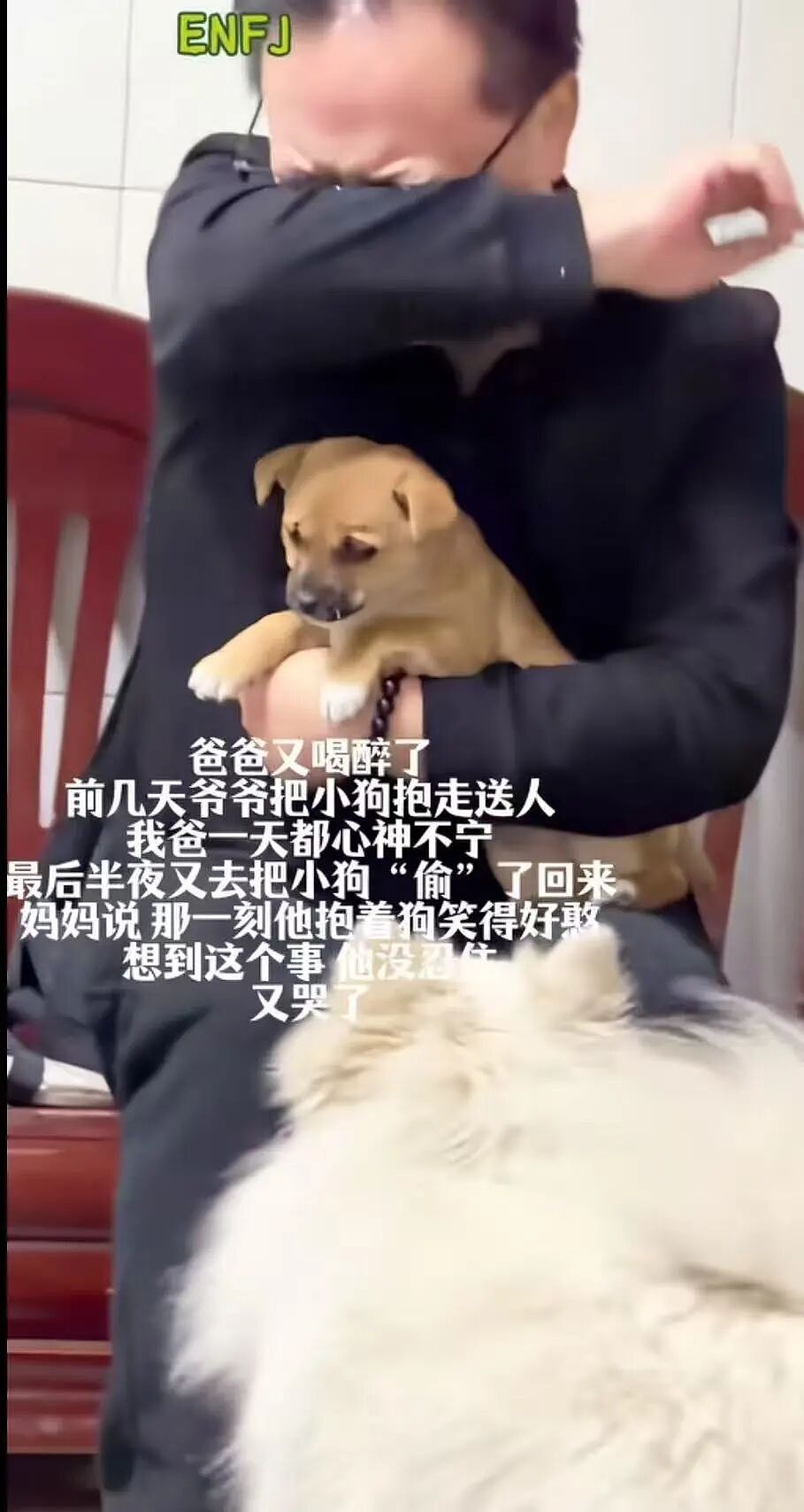 【爆笑】“当爸妈朋友圈里全是我黑照时…?”哈哈哈,那不是来时路,那就是黑历史!(组图) - 24