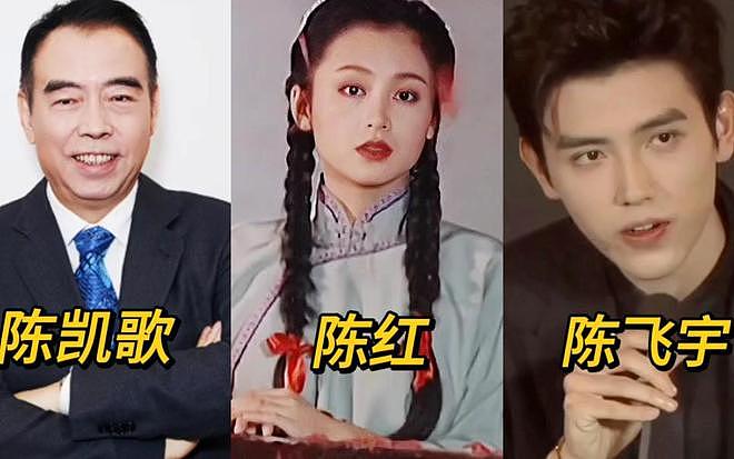 长得丑、演戏烂，爹妈“强捧不红”的5 位星二代，注定走不远（组图） - 10