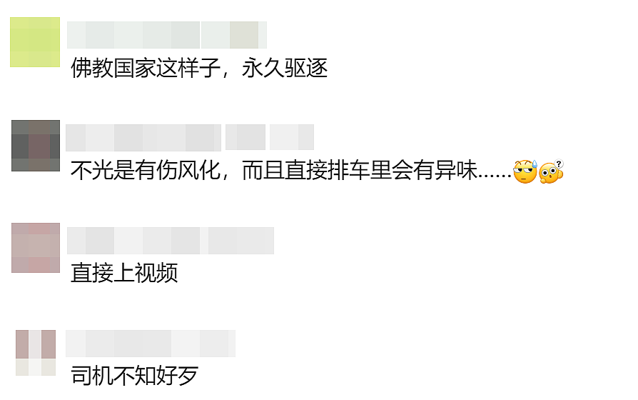 外国情侣出租车上演活春宫！普吉岛司机制止险遭殴打（组图） - 5