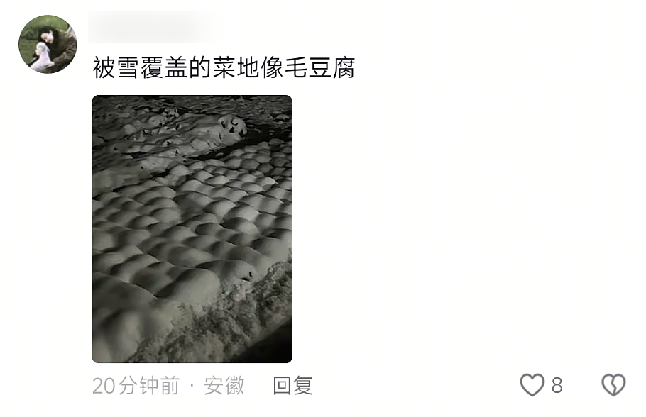 【爆笑】“夜爬忘记看天气的后果......”哈哈哈哈哈这操作是万万没想到啊（组图） - 28