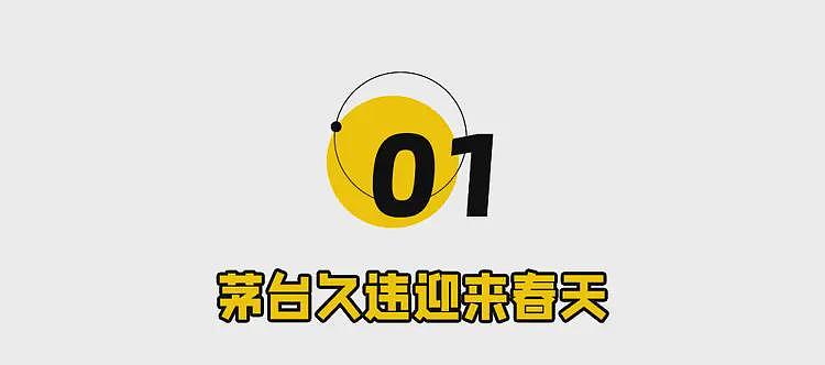 茅台紧急回应,1169元飞天吓傻全网(组图) - 2