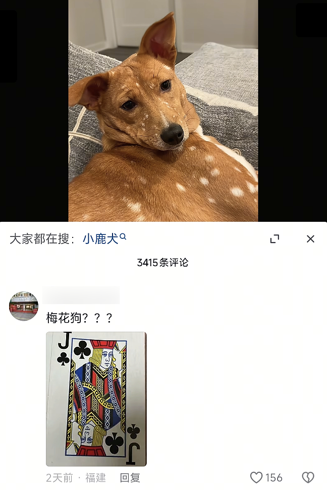 【爆笑】“夜爬忘记看天气的后果......”哈哈哈哈哈这操作是万万没想到啊（组图） - 62