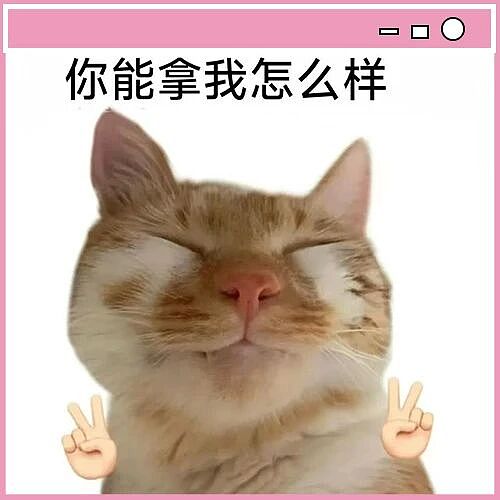 【爆笑】“跨年夜隔空碰杯横空出世...？”哈哈哈感谢我的互联网酒搭子们（组图） - 2