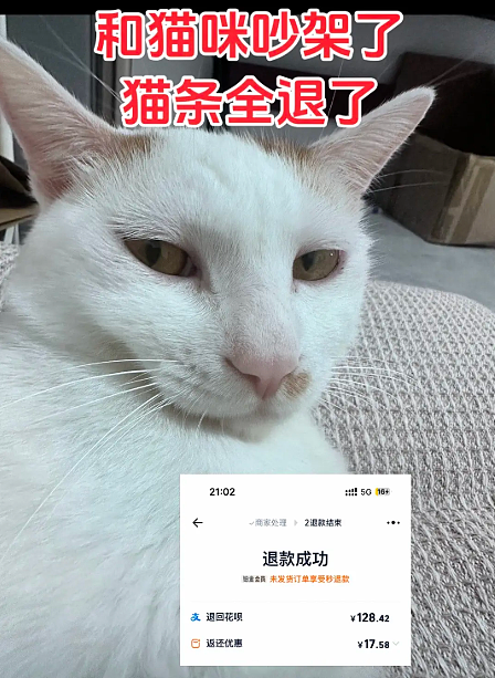 【宠物】小姐姐拿猫证明自己没P腿，一看合照图，网友笑晕：主人腿长，给猫长脸哈哈哈哈（组图） - 21