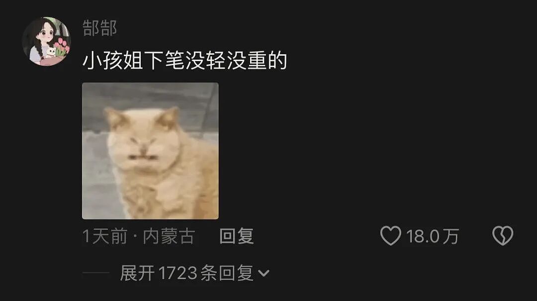 全网心疼!92年小伙儿收养12岁外甥女,孩子一篇作文看哭全网:《我的第二个爸爸》(组图) - 8