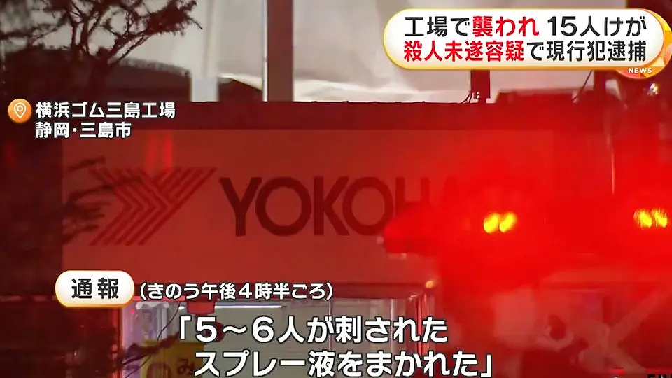 日本多地连发随机砍人伤人事件,有中国公民受伤(组图) - 10